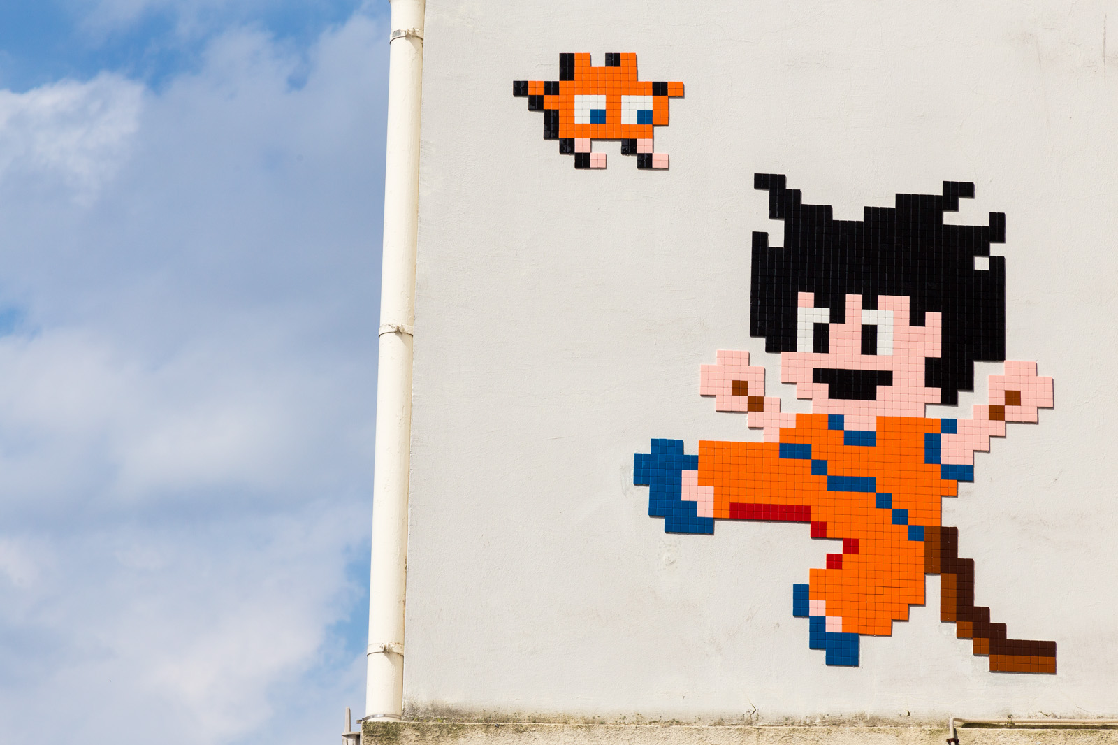 Son Goku by Invader - Eté 2016