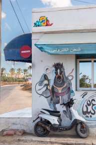 DJBA_06 - Time for a Boga - Oualegh - Djerba, Tunisie /// 30 pts