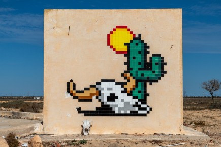 DJBA_27 - Cactus Death Head - El Kantara - Djerba, Tunisie /// 50 pts