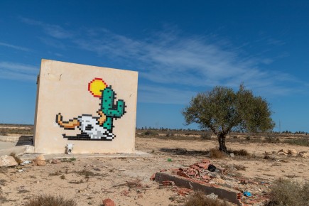 DJBA_27 - Cactus Death Head - El Kantara - Djerba, Tunisie /// 50 pts