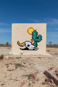 DJBA_27 - Cactus Death Head - El Kantara - Djerba, Tunisie /// 50 pts