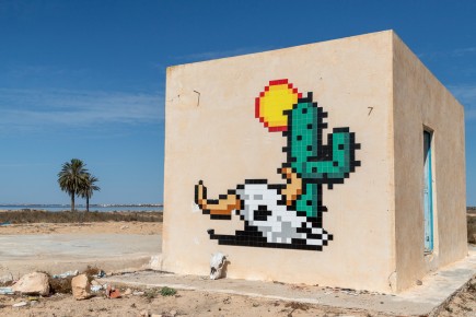 DJBA_27 - Cactus Death Head - El Kantara - Djerba, Tunisie /// 50 pts