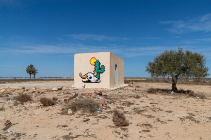 DJBA_27 - Cactus Death Head - El Kantara - Djerba, Tunisie /// 50 pts