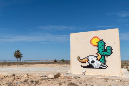 DJBA_27 - Cactus Death Head - El Kantara - Djerba, Tunisie /// 50 pts