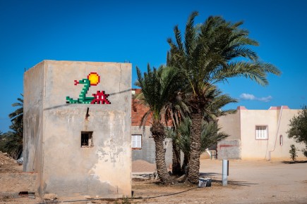 DJBA_50 - Djerba's snake - El Groua - Djerba, Tunisie /// 40 pts