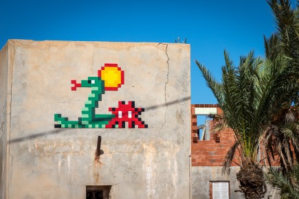 DJBA_50 - Djerba's snake - El Groua - Djerba, Tunisie /// 40 pts