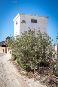 DJBA_53 - Flying carpet of Djerba - Mezraya - Djerba, Tunisie /// 30 pts