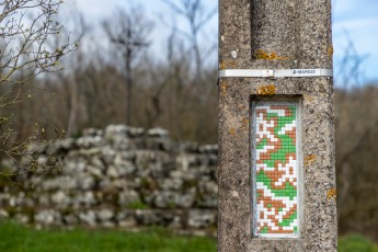 FTBL_ 01 - Rue de la Dame Jouanne - Larchant (77) /// 30 pts