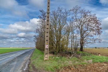 FTBL_06 - D16 - Entre Larchant et La Chapelle-la-Reine (77) /// 30 pts