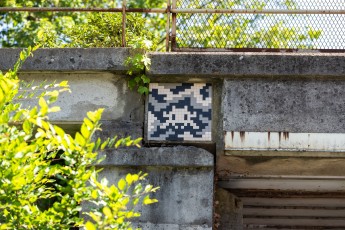 FTBL_11 - Camo of Bois-le-Roi - Avenue de la Forêt - Bois-le-Roi (77) /// 30 pts