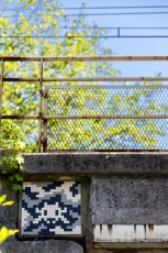 FTBL_11 - Camo of Bois-le-Roi - Avenue de la Forêt - Bois-le-Roi (77) /// 30 pts