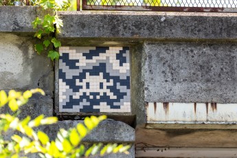 FTBL_11 - Camo of Bois-le-Roi - Avenue de la Forêt - Bois-le-Roi (77) /// 30 pts