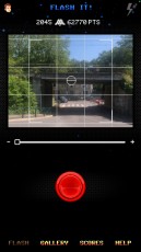 FTBL_11 - Camo of Bois-le-Roi - Avenue de la Forêt - Bois-le-Roi (77) /// 30 pts