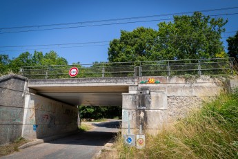 FTBL_18 - Route des Pressoirs du Roy - Samoreau (77) /// 30 pts