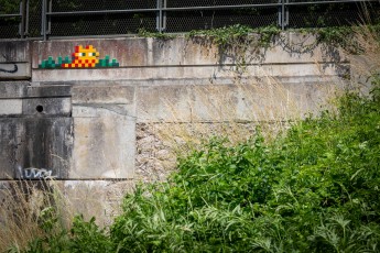 FTBL_18 - Route des Pressoirs du Roy - Samoreau (77) /// 30 pts