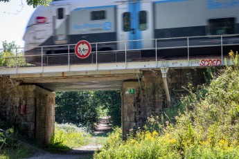 FTBL_19 - Lost in the forest - Route d'Aumale - Gare SNCF fantôme de Fontainebleau-Forêt - Forêt de Fontainebleau (77) /// 30 pts
