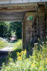 FTBL_19 - Lost in the forest - Route d'Aumale - Gare SNCF fantôme de Fontainebleau-Forêt - Forêt de Fontainebleau (77) /// 30 pts