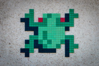 FTBL_21 - Crossing frog - Rue du Port - Chartrette (77) /// 30 pts