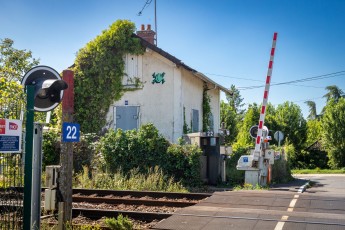 FTBL_21 - Crossing frog - Rue du Port - Chartrette (77) /// 30 pts