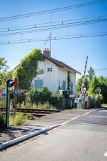 FTBL_21 - Crossing frog - Rue du Port - Chartrette (77) /// 30 pts