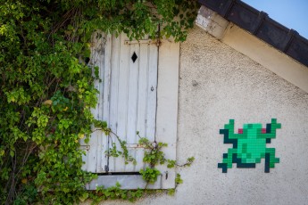 FTBL_21 - Crossing frog - Rue du Port - Chartrette (77) /// 30 pts