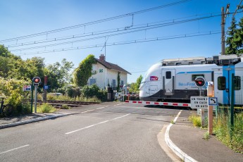 FTBL_21 - Crossing frog - Rue du Port - Chartrette (77) /// 30 pts