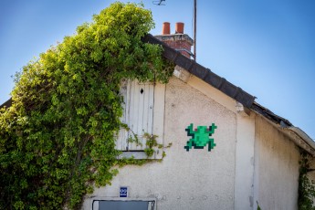 FTBL_21 - Crossing frog - Rue du Port - Chartrette (77) /// 30 pts