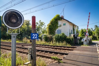 FTBL_21 - Crossing frog - Rue du Port - Chartrette (77) /// 30 pts