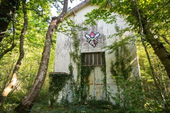 FTBL_22 - Make a wish - Route de la Glandée - Dammarie-les-Lys (77) /// 40 pts