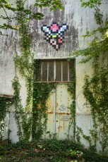 FTBL_22 - Make a wish - Route de la Glandée - Dammarie-les-Lys (77) /// 40 pts