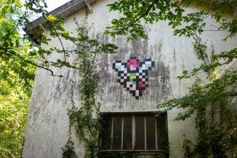 FTBL_22 - Make a wish - Route de la Glandée - Dammarie-les-Lys (77) /// 40 pts