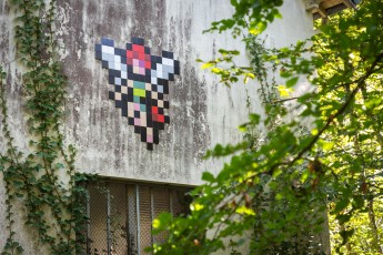 FTBL_22 - Make a wish - Route de la Glandée - Dammarie-les-Lys (77) /// 40 pts