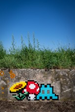 FTBL_23 - D64 Route de la Glandée - Chailly-en-Brière (77) /// 30 pts