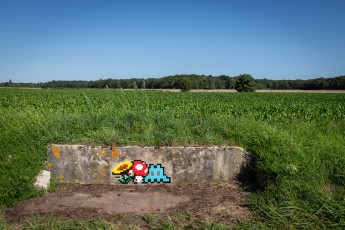 FTBL_23 - D64 Route de la Glandée - Chailly-en-Brière (77) /// 30 pts