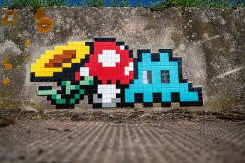 FTBL_23 - D64 Route de la Glandée - Chailly-en-Brière (77) /// 30 pts