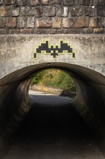 FTBL_24 - Fontainebat - D607-Carrefour de l'Epine - Fontainebleau (77) /// 30 pts