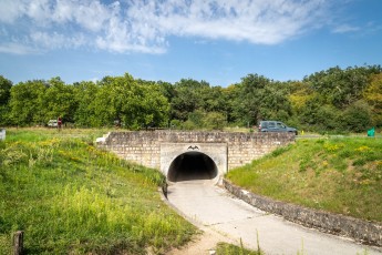 FTBL_24 - Fontainebat - D607-Carrefour de l'Epine - Fontainebleau (77) /// 30 pts