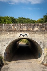 FTBL_24 - Fontainebat - D607-Carrefour de l'Epine - Fontainebleau (77) /// 30 pts