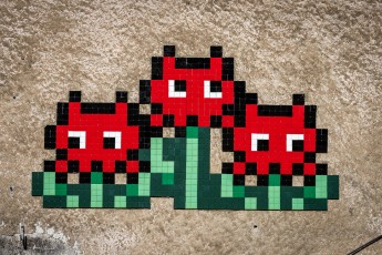 FTBL_26 - Eternal flowers - Brasserie Pachamama - Rue de la ferme - Cugny (77) /// 40 pts