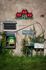 FTBL_26 - Eternal flowers - Brasserie Pachamama - Rue de la ferme - Cugny (77) /// 40 pts