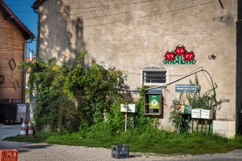 FTBL_26 - Eternal flowers - Brasserie Pachamama - Rue de la ferme - Cugny (77) /// 40 pts