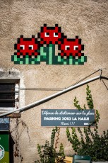 FTBL_26 - Eternal flowers - Brasserie Pachamama - Rue de la ferme - Cugny (77) /// 40 pts