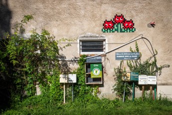 FTBL_26 - Eternal flowers - Brasserie Pachamama - Rue de la ferme - Cugny (77) /// 40 pts