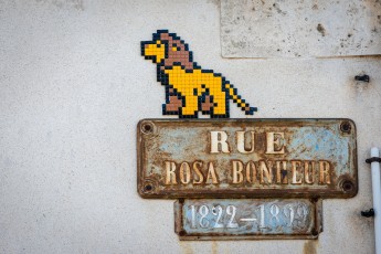 FTBL_29 - Rosa Bonheur was here - Rue Rosa Bonheur - Thomery (77) /// 30 pts
