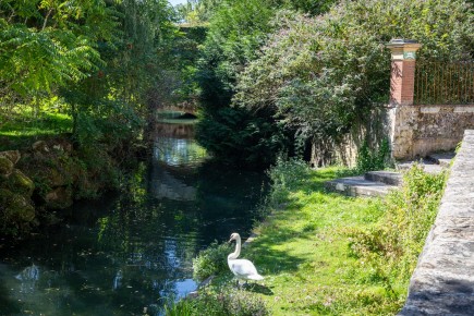 FTBL_30 - Have you seen the swan ? - Fontaine-le-Port (77) /// 20 pts