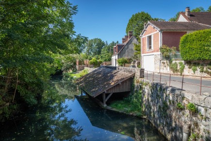 FTBL_30 - Have you seen the swan ? - Fontaine-le-Port (77) /// 20 pts