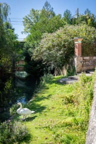 FTBL_30 - Have you seen the swan ? - Fontaine-le-Port (77) /// 20 pts