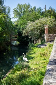 FTBL_30 - Have you seen the swan ? - Fontaine-le-Port (77) /// 20 pts