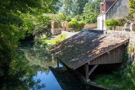 FTBL_30 - Have you seen the swan ? - Fontaine-le-Port (77) /// 20 pts