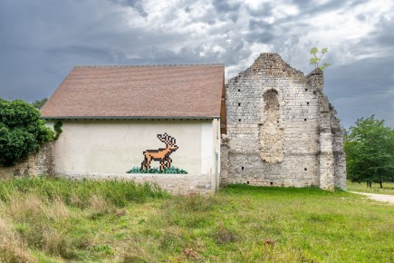 FTBL_31 - Dans la forêt du côté des gorges de Franchard - Fontainebleau (77) /// 50 pts